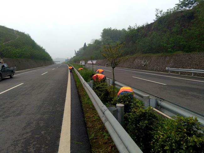 四川公司圍繞“四好農村公路”建設，推動宜慶路養(yǎng)護